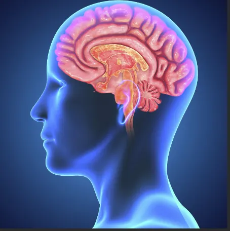 CogniFix Advanced Cognitive Support